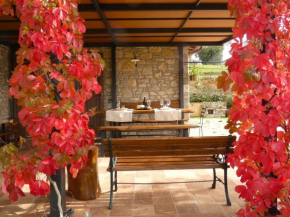 Scappo in Umbria, Le Salce